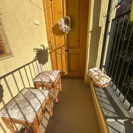 Tavaszmezo * Pécs
